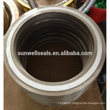 SUNWELL PTFE spiral wound gaskets